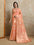 Woven Banarasi Organza Saree (Orange)