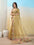 Embellished Bollywood Organza Saree (Yellow)