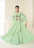 Pista green colour Georgette  Embroidered Gown