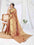 Woven Banarasi Tissue Saree (Brown)