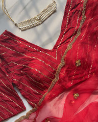 Pure red organza hand work embroidery pearl border saree