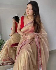 Beautiful lace border designer organza saree