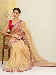 Beautiful lace border designer organza saree