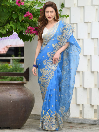 Organza Saree – Tagged sequence – ShopLance