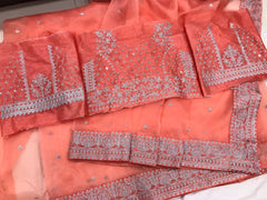 Organza Embroidery Butti work Saree