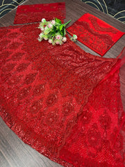 Red colour bridal wear sequence work net lehenga choli