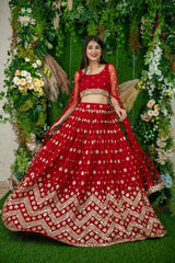 New designer embroidery and sequence work soft net lehenga choli